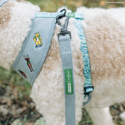 Lucy & Co. x Parks Project Adventures with Friends Leash