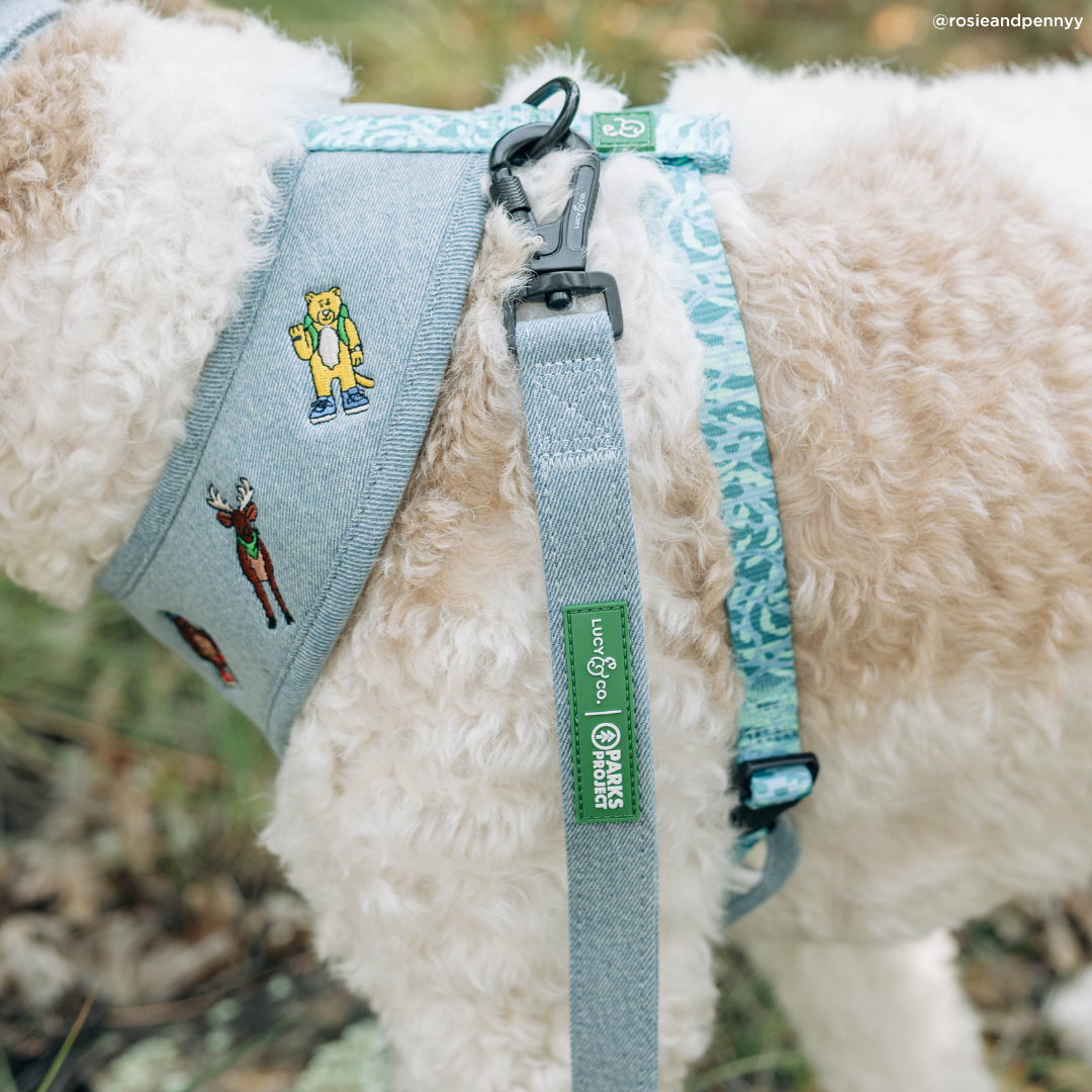Lucy & Co. x Parks Project Adventures with Friends Reversible Harness