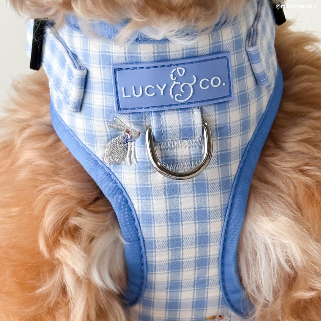 Silly Goose No-Pull Harness