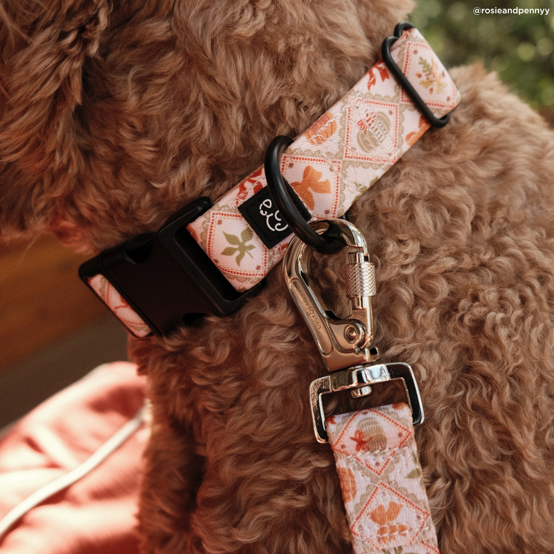 Cozy Cottage Collar