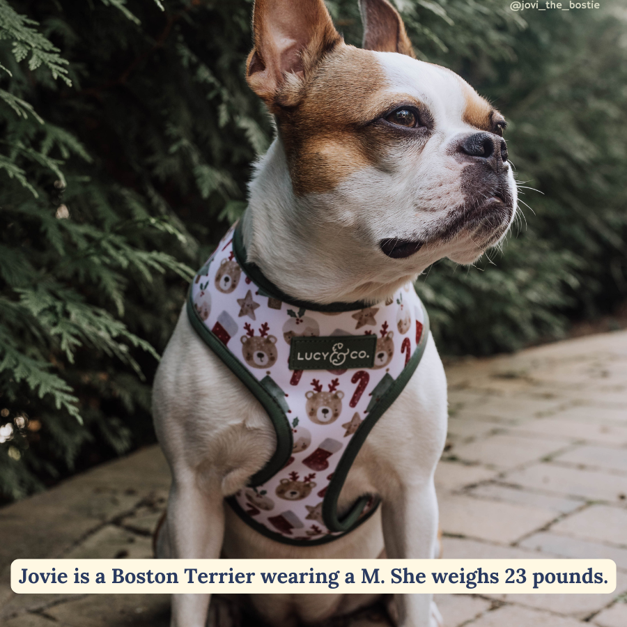 Jingle Bells Reversible Harness