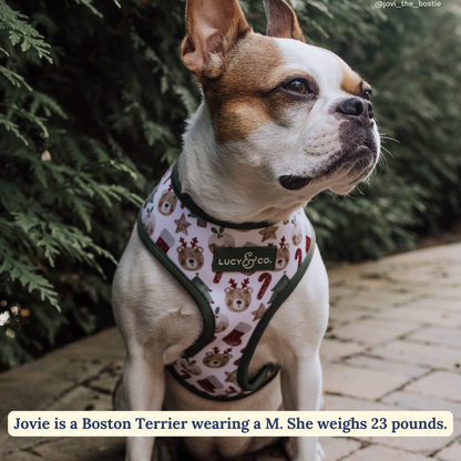 Jingle Bells Reversible Harness