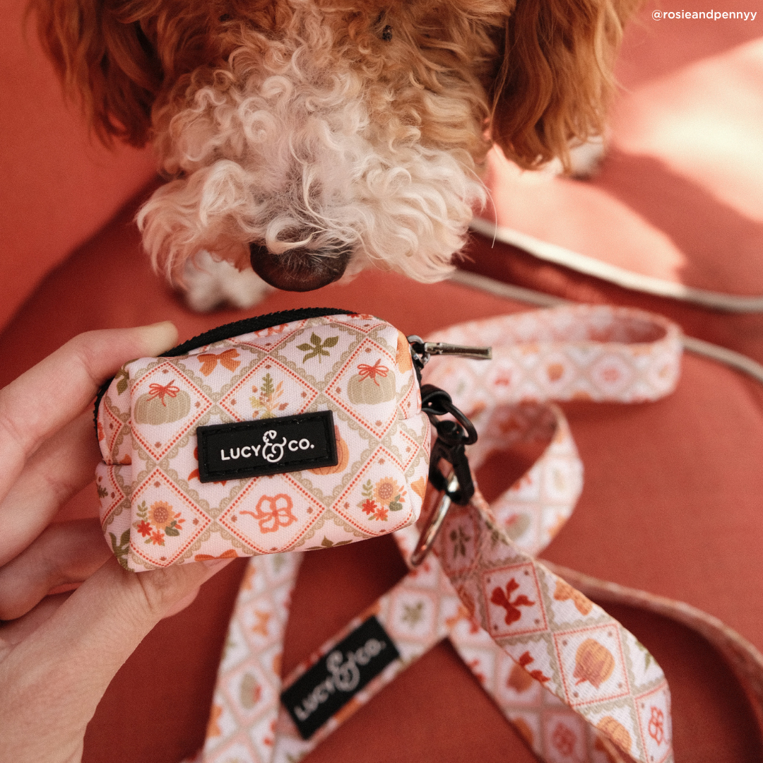 Cozy Cottage Leash