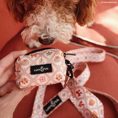 Cozy Cottage Leash