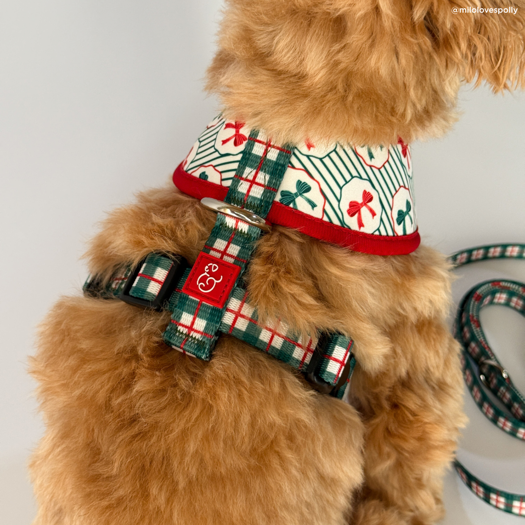 Wrap it Up Reversible Harness