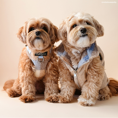 Blue Check Reversible Teddy Vest
