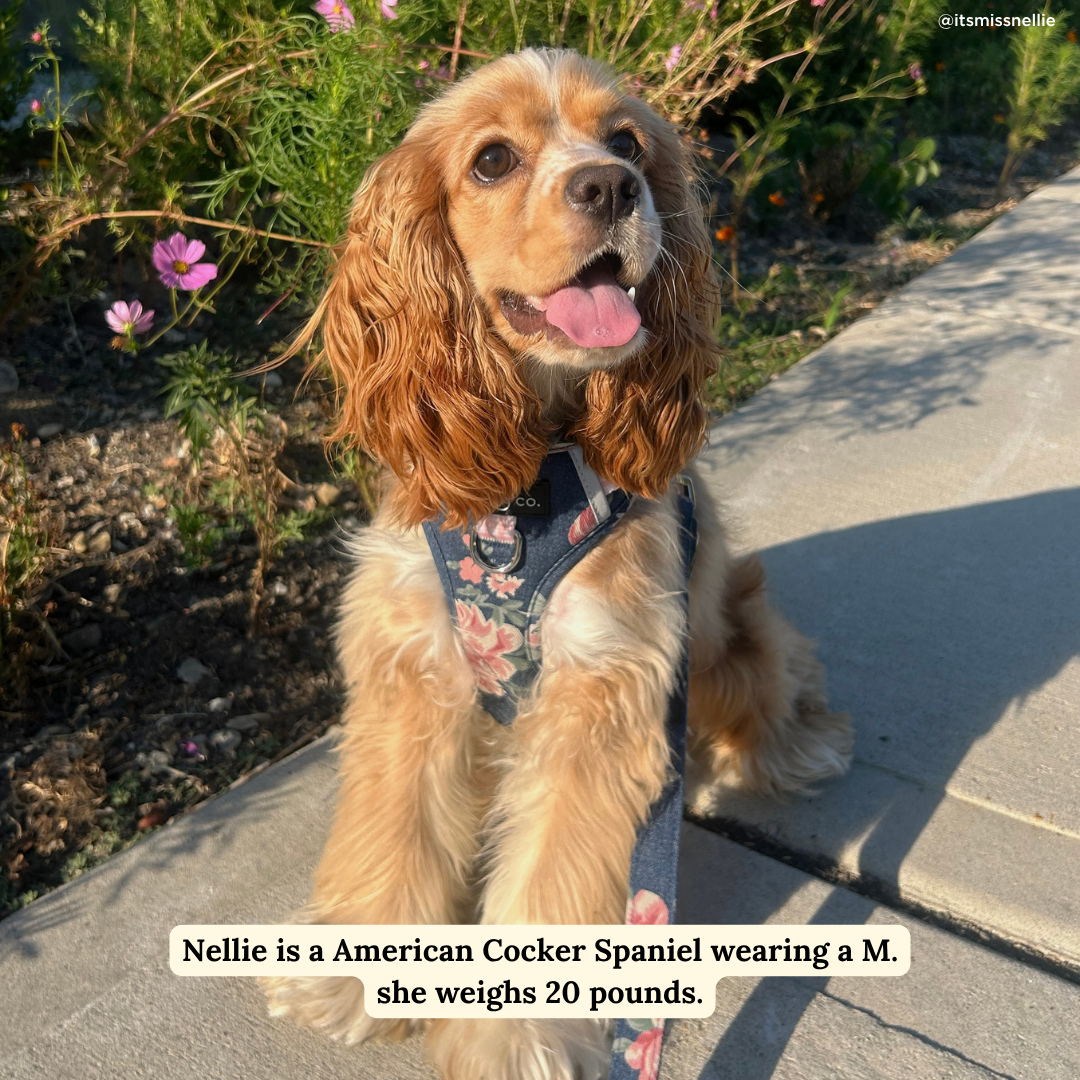 Smell the Roses Denim No-Pull Harness