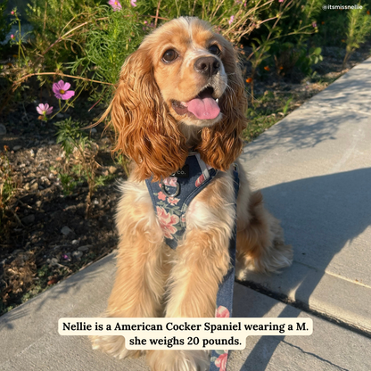 Smell the Roses Denim No-Pull Harness