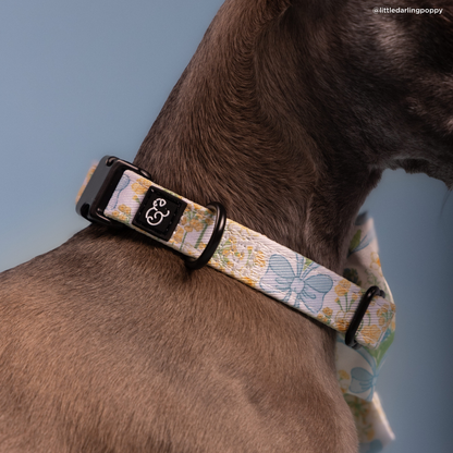 Sunshine and Daffodils Collar