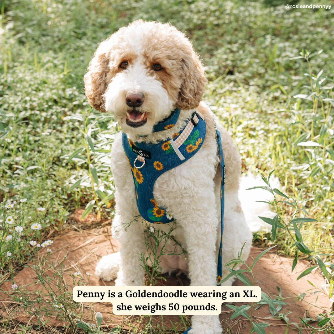 Sunflower Power Denim No-Pull Harness