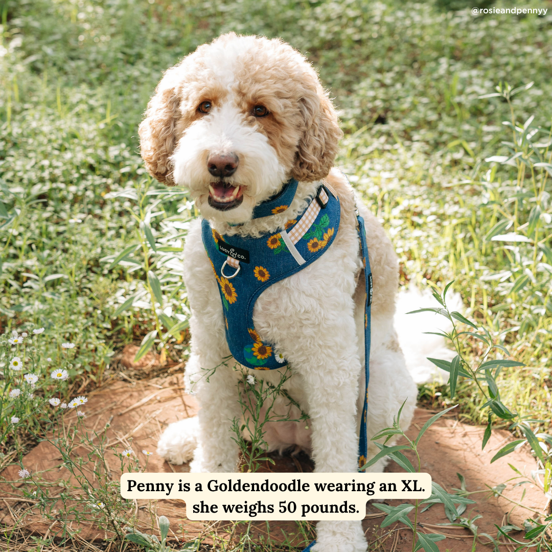 Sunflower Power Denim No-Pull Harness