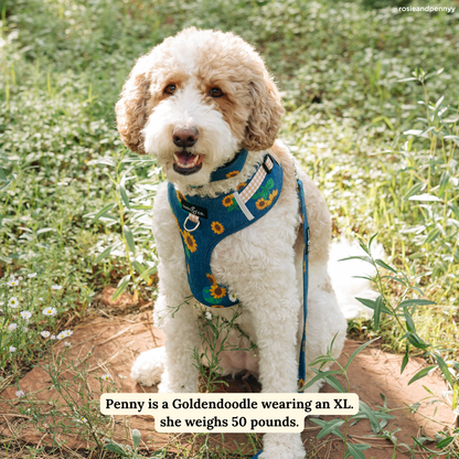 Sunflower Power Denim No-Pull Harness