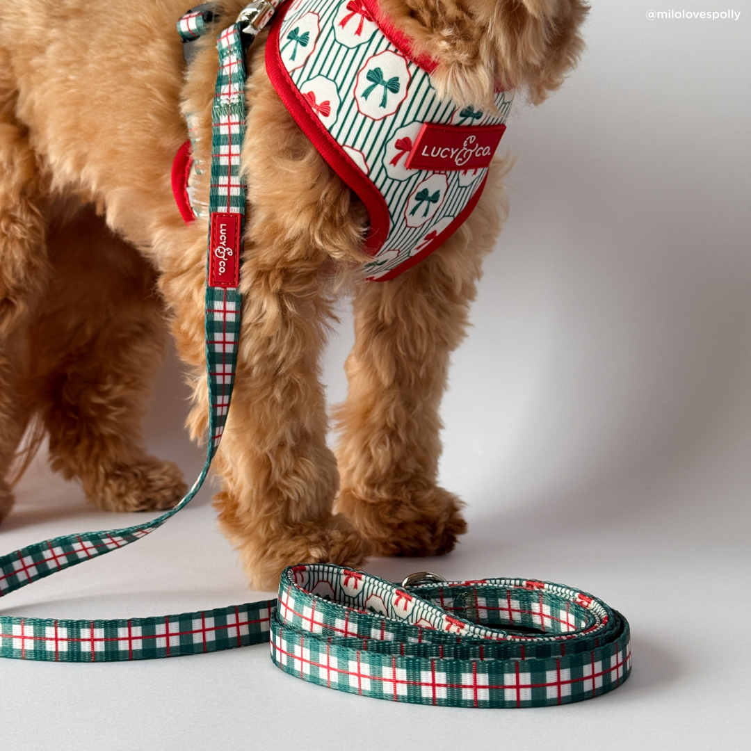 Wrap it Up Print Leash