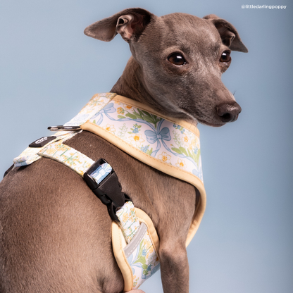 Sunshine and Daffodils Reversible Harness