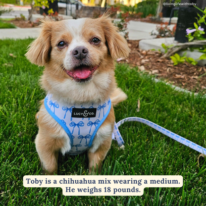 Bowwow Wow! Reversible Harness
