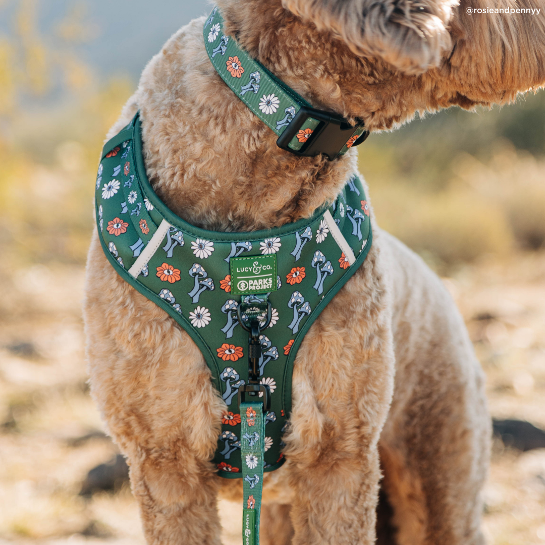 Power to the Parks No-Pull Harness