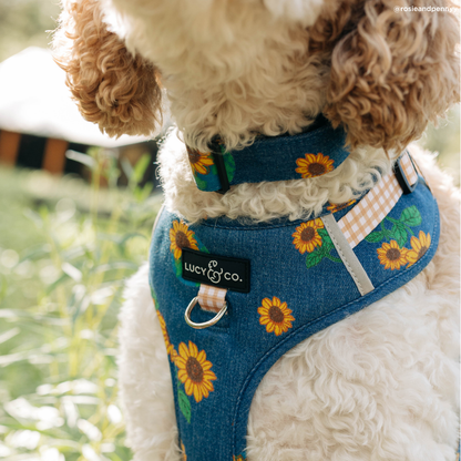 Sunflower Power Denim No-Pull Harness