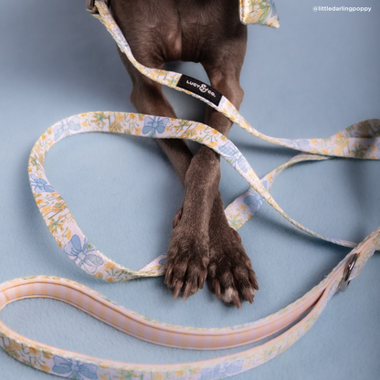 Sunshine and Daffodils Leash