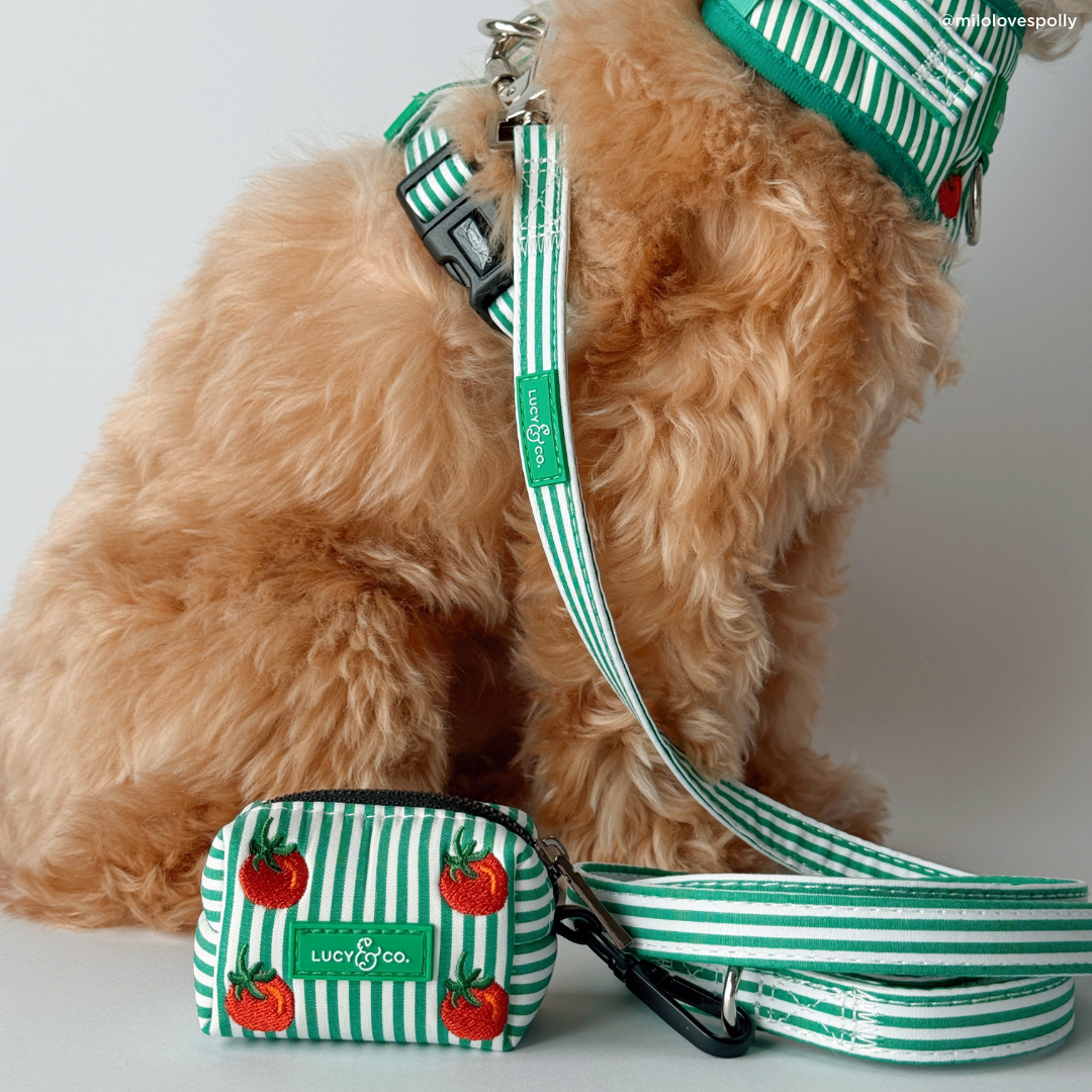 Tomato, Tomahto Embroidered Poop Bag Holder