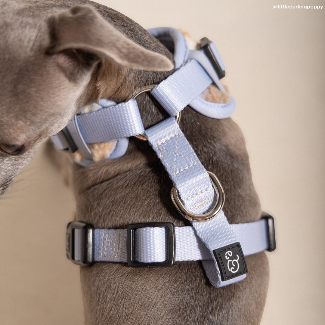 Blue Check Fleece No-Pull Harness