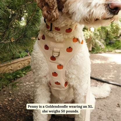 Oh My Gourd Corduroy No-Pull Harness