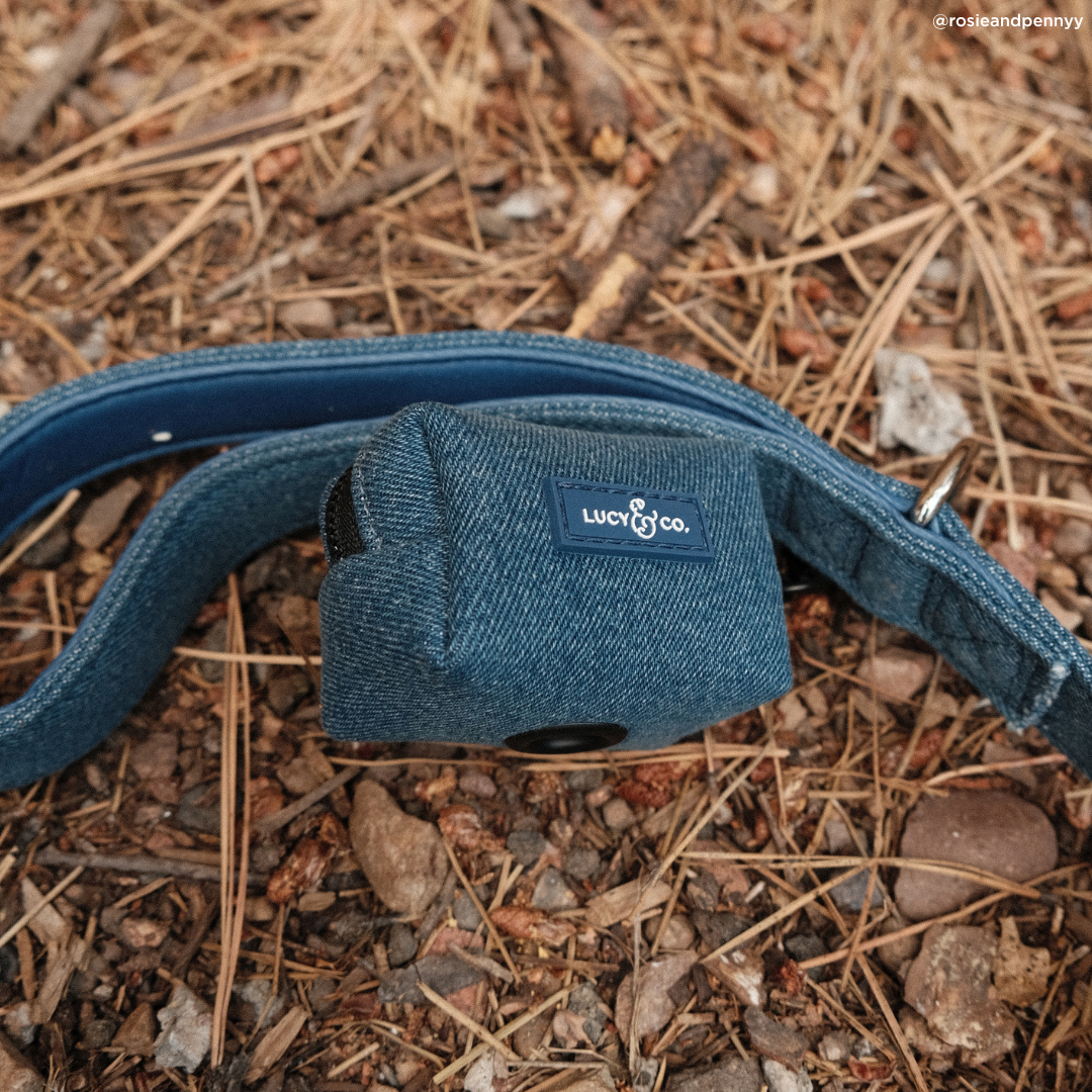 Blue Jeans Leash