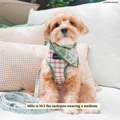 Camp Out Reversible Harness