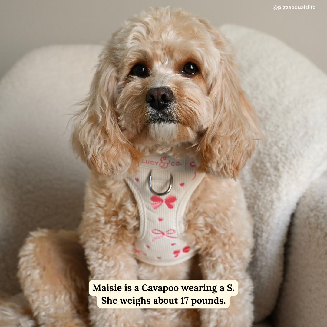 Ever So Sweet No-Pull Harness