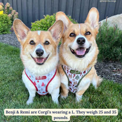 Jingle Bells Reversible Harness