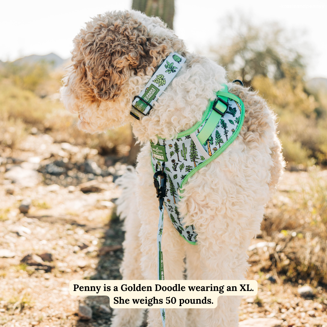 Feel the Earth Breathe No-Pull Harness