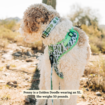 Feel the Earth Breathe No-Pull Harness