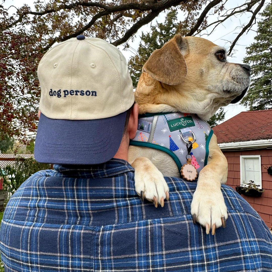 Dog person deals hat