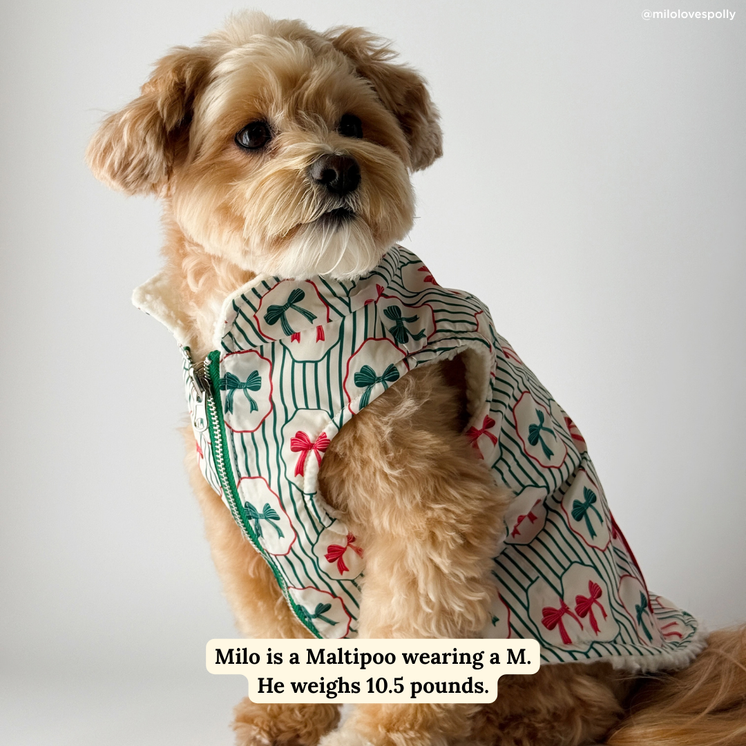 Wrap it Up Reversible Teddy Vest