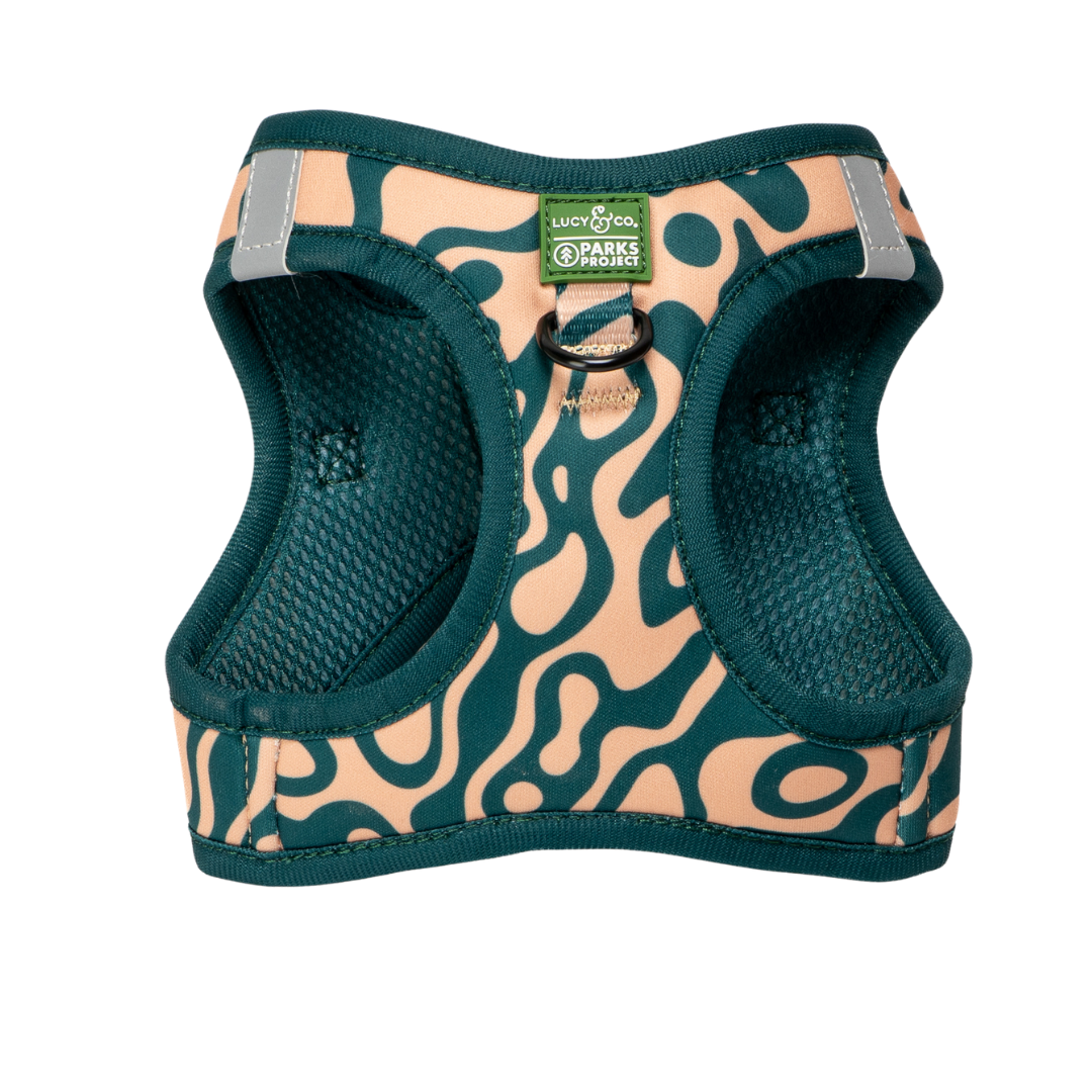 Lucy & Co. x Parks Project Geyser Step-in Cat Harness