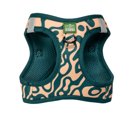 Lucy & Co. x Parks Project Geyser Step-in Cat Harness