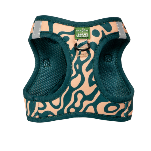 Lucy & Co. x Parks Project Geyser Step-in Cat Harness