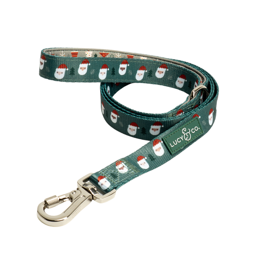 Santa Land Leash