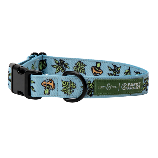 Feel the Earth Breathe Collar