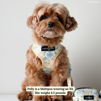 Sunshine and Daffodils Reversible Harness