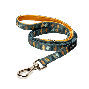 Looking Sharp Cat Leash