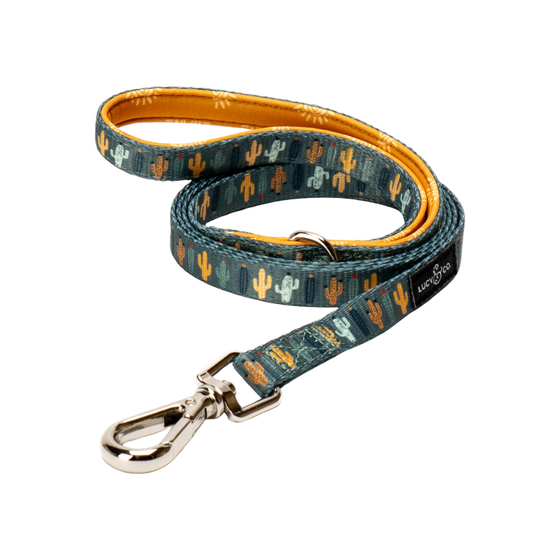 Looking Sharp Cat Leash