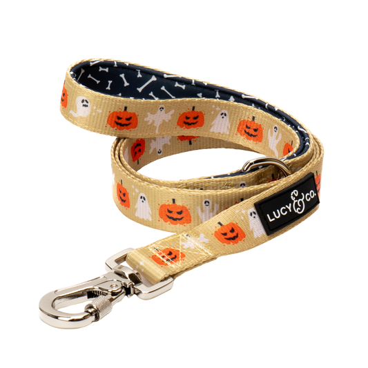 Trick or Treat Leash