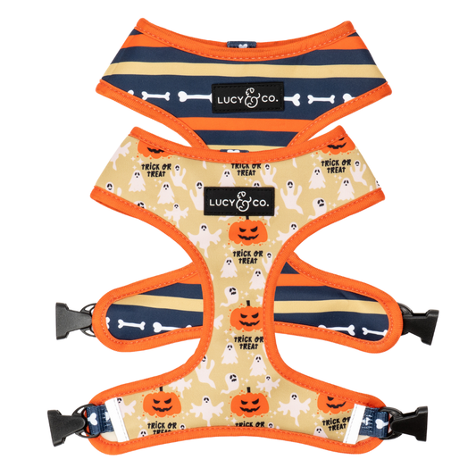 Trick or Treat Reversible Harness