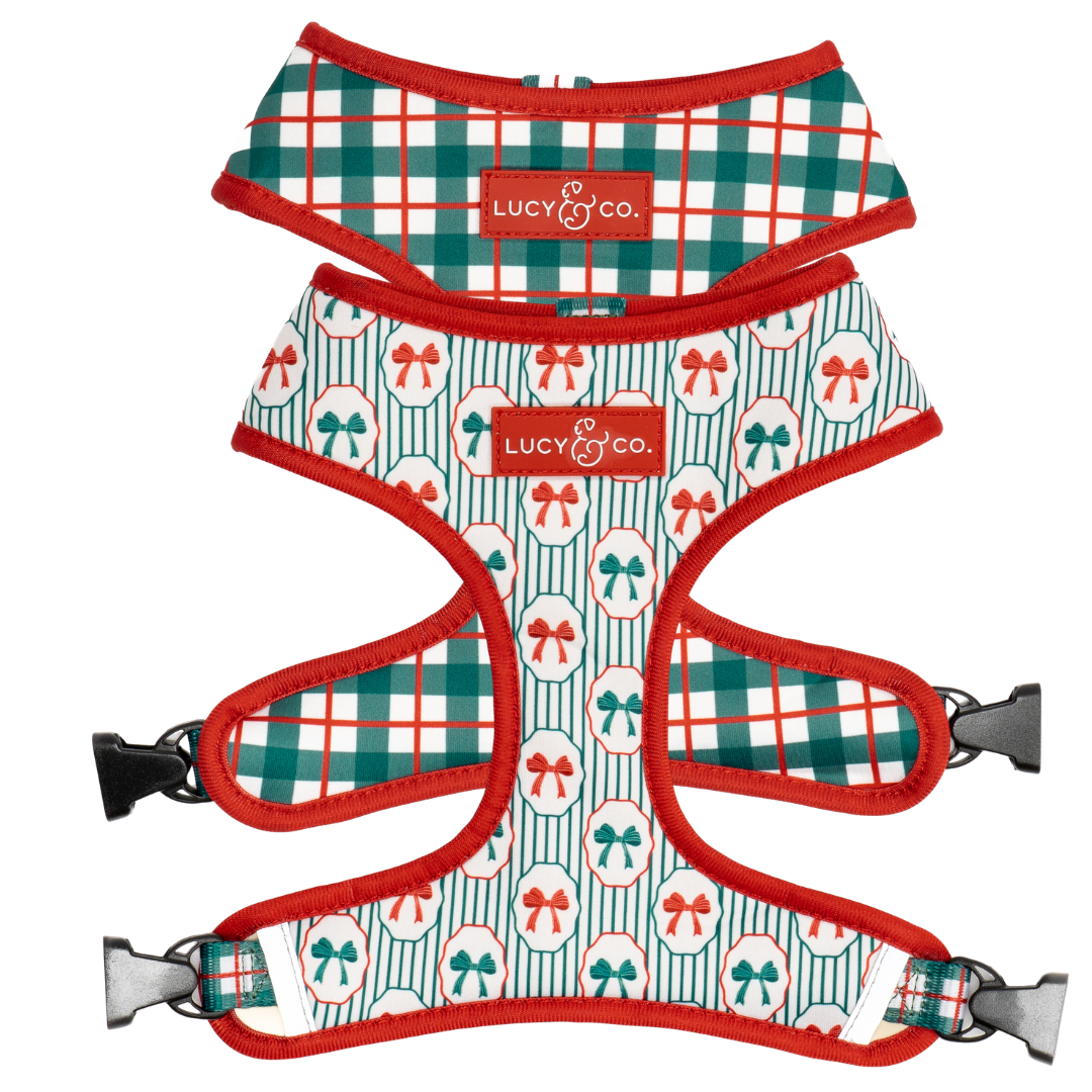 Wrap it Up Reversible Harness