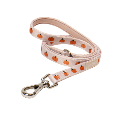 Oh My Gourd Cat Leash