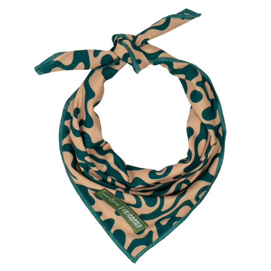 Lucy & Co. x Parks Project Geyser Bandana