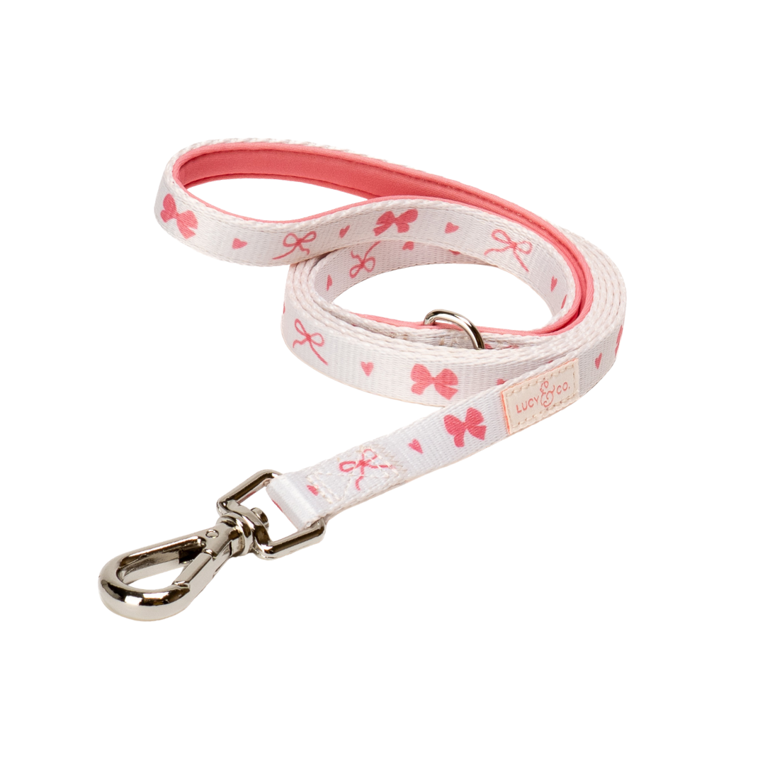Ever So Sweet Cat Leash