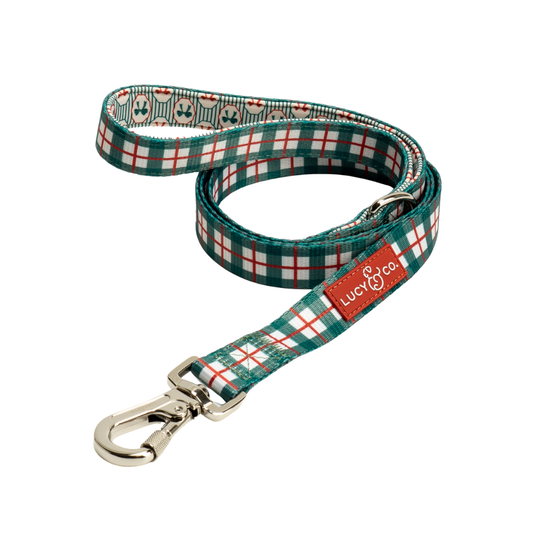 Wrap it Up Print Leash