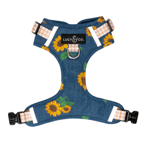 Sunflower Power Denim No-Pull Harness