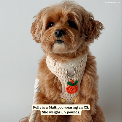 Main Squeeze Crochet No-Pull Harness